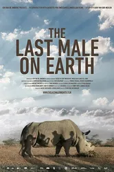 Last Male Standing постер