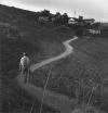 Постер Chavez Ravine: A Los Angeles Story