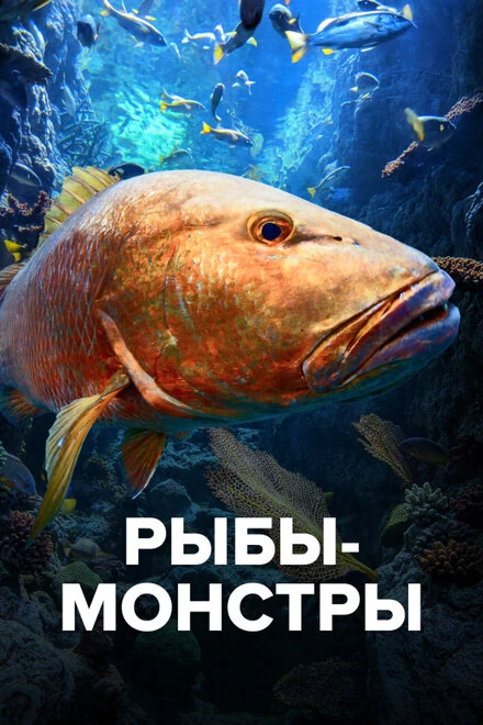 Постер Рыбы-монстры 2009