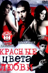 Красные цвета любви 2007 постер