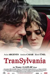 Трансильвания 2006 постер