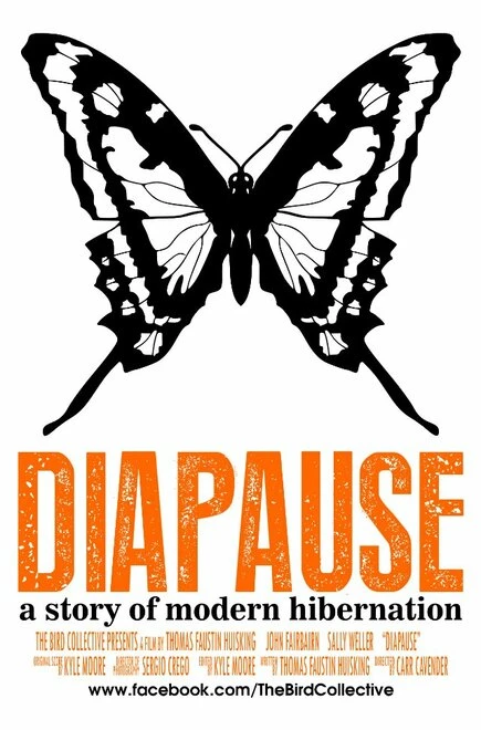 Постер Diapause