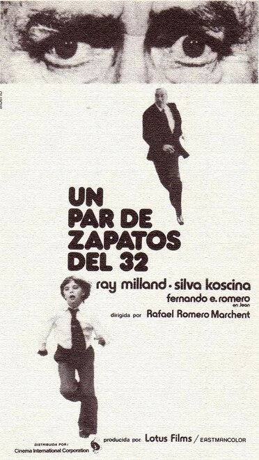 Постер Кто-то видел убийцу 1974