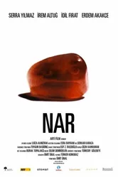 Гранат 2011 постер