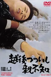 Это случилось в Этиго 1964 постер