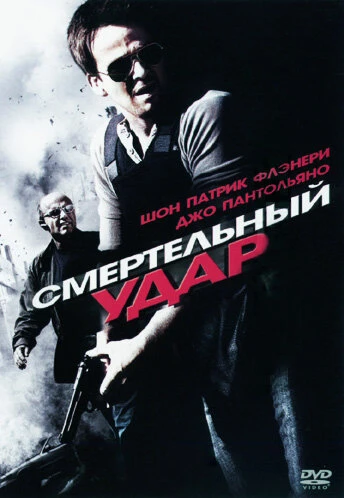 Постер Смертельный удар 2010