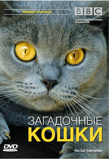 Постер BBC: Загадочные кошки 2002