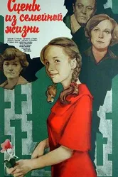 Сцены из семейной жизни 1979 постер