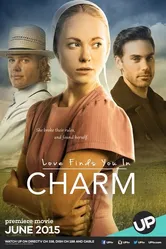 Love Finds You in Charm постер