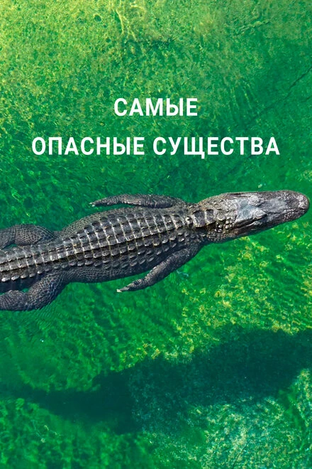 Постер Самые опасные существа 2021