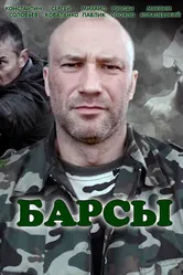 Барсы 2015 постер
