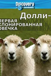 Discovery: Долли — первая клонированная овечка 2006 постер
