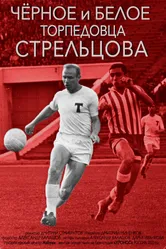 Черное и белое торпедовца Стрельцова 2020 постер