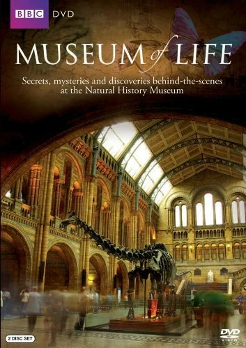 Постер Museum of Life