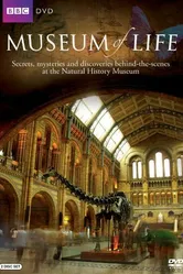 Museum of Life постер