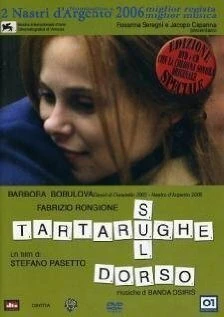 Постер Tartarughe sul dorso