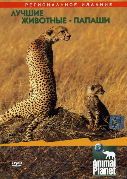 Постер Animal Planet: Лучшие животные-папаши 2004