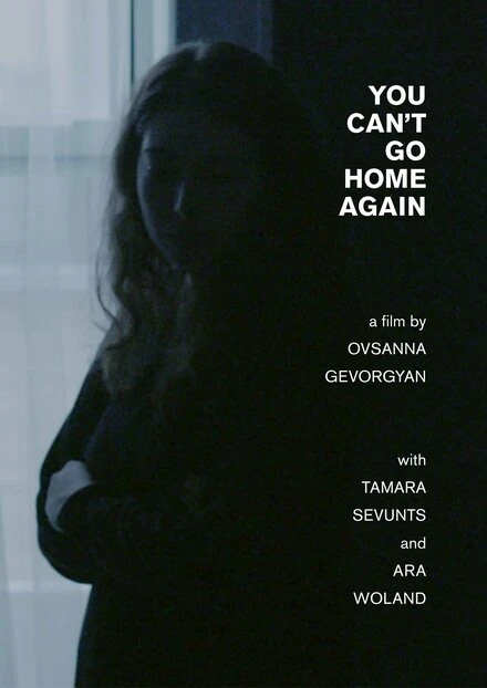 Постер You Can't Go Home Again 2017