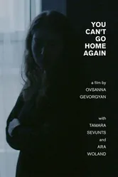 You Can't Go Home Again 2017 постер