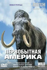BBC: Первобытная Америка 2002 постер