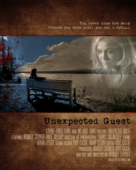 Постер Unexpected Guest 2012