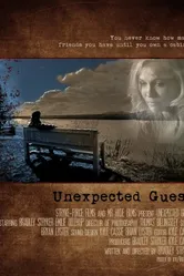 Unexpected Guest 2012 постер