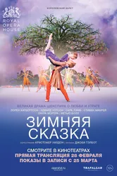 Зимняя сказка 2014 постер