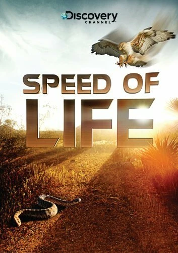 Постер Discovery: Скорость жизни 2010