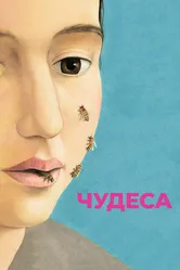Чудеса 2014 постер