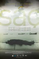 Волосы 2010 постер