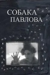 Собака Павлова 2020 постер