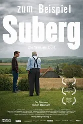 Из жизни деревни Зуберг 2013 постер