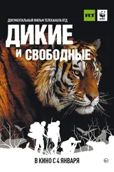 Дикие и свободные 2019 постер