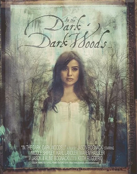 Постер In the Dark Dark Woods...