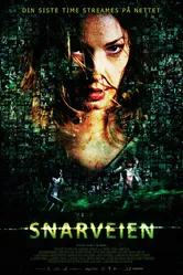 Объезд 2009 постер