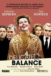 Неустойчивое равновесие 1973 постер
