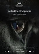 Perfectly a Strangeness постер