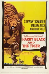 Гарри Блэк и Тигр 1958 постер