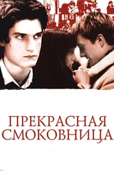 Прекрасная смоковница 2008 постер