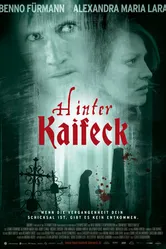 Убийство в Кайфеке 2009 постер