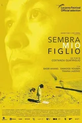 Sembra mio figlio постер