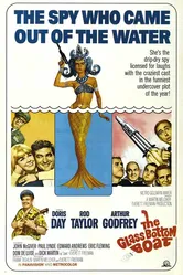 Лодка со стеклянным дном 1966 постер