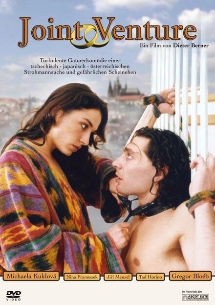 Постер Совместное предприятие 1994