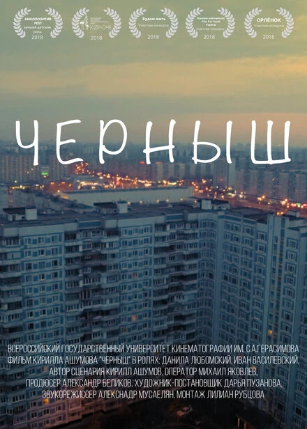 Постер Черныш 2017