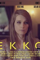 Echo 2014, Норвегия постер