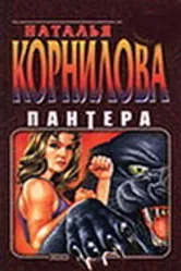 Пантера. Испытательный срок 2000 постер