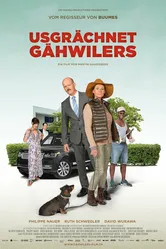Usgrächnet Gähwilers постер