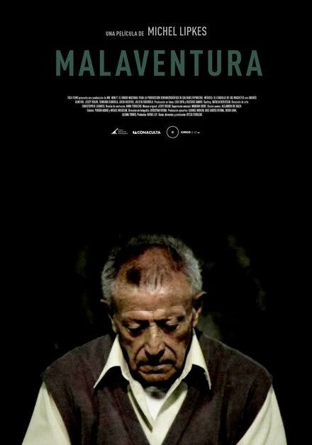 Постер Несчастье 2011