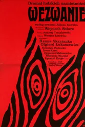 Вызов 1971 постер