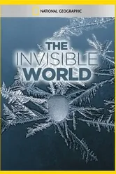 National Geographic: The Invisible World постер